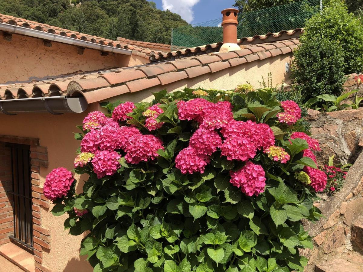 Apartamento En Pleno Montseny Mas Romeu Turisme Rural Arbúcies Zewnętrze zdjęcie