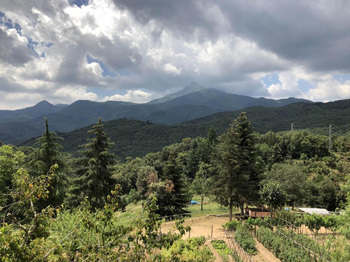 Apartamento En Pleno Montseny Mas Romeu Turisme Rural Arbúcies Zewnętrze zdjęcie